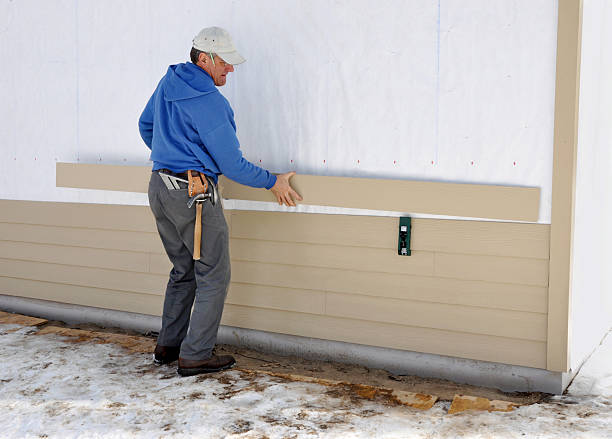 Best Brick Veneer Siding  in Ellisville, MO