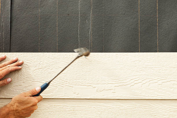 Best Stone Veneer Siding  in Ellisville, MO