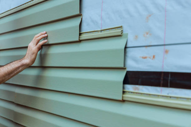 Best Fascia and Soffit Installation  in Ellisville, MO